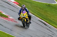 PJ-Motorsport-Photography-2020;anglesey;brands-hatch;cadwell-park;croft;donington-park;enduro-digital-images;event-digital-images;eventdigitalimages;mallory;no-limits;oulton-park;peter-wileman-photography;racing-digital-images;silverstone;snetterton;trackday-digital-images;trackday-photos;vmcc-banbury-run;welsh-2-day-enduro